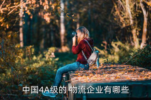 山西大華通新能源物流有限公司...